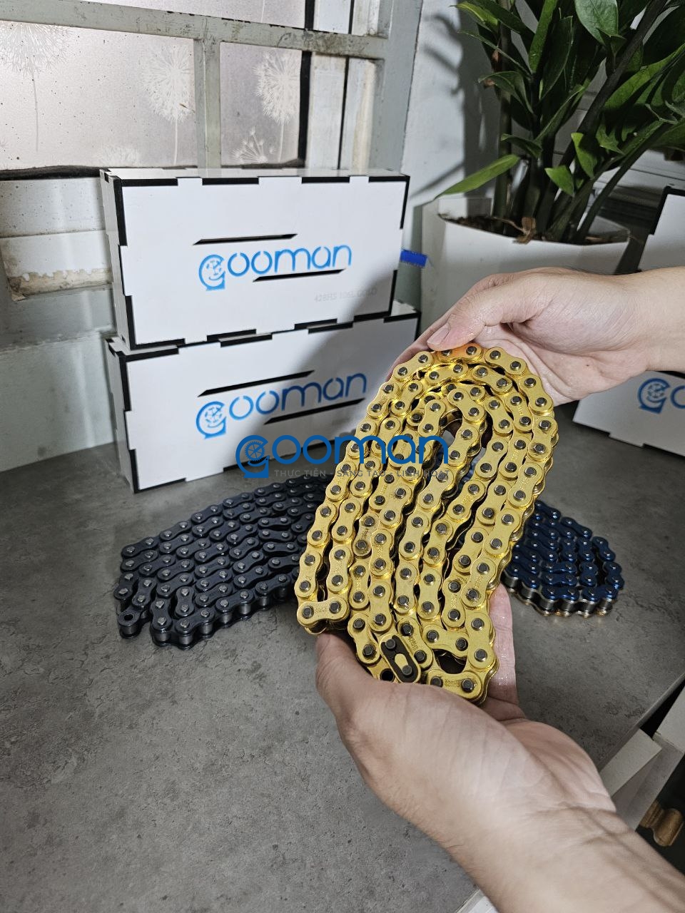 Nhông Sên Đĩa Thép Datbike Quantum S2, S3 60T ( Combo 8T) #02