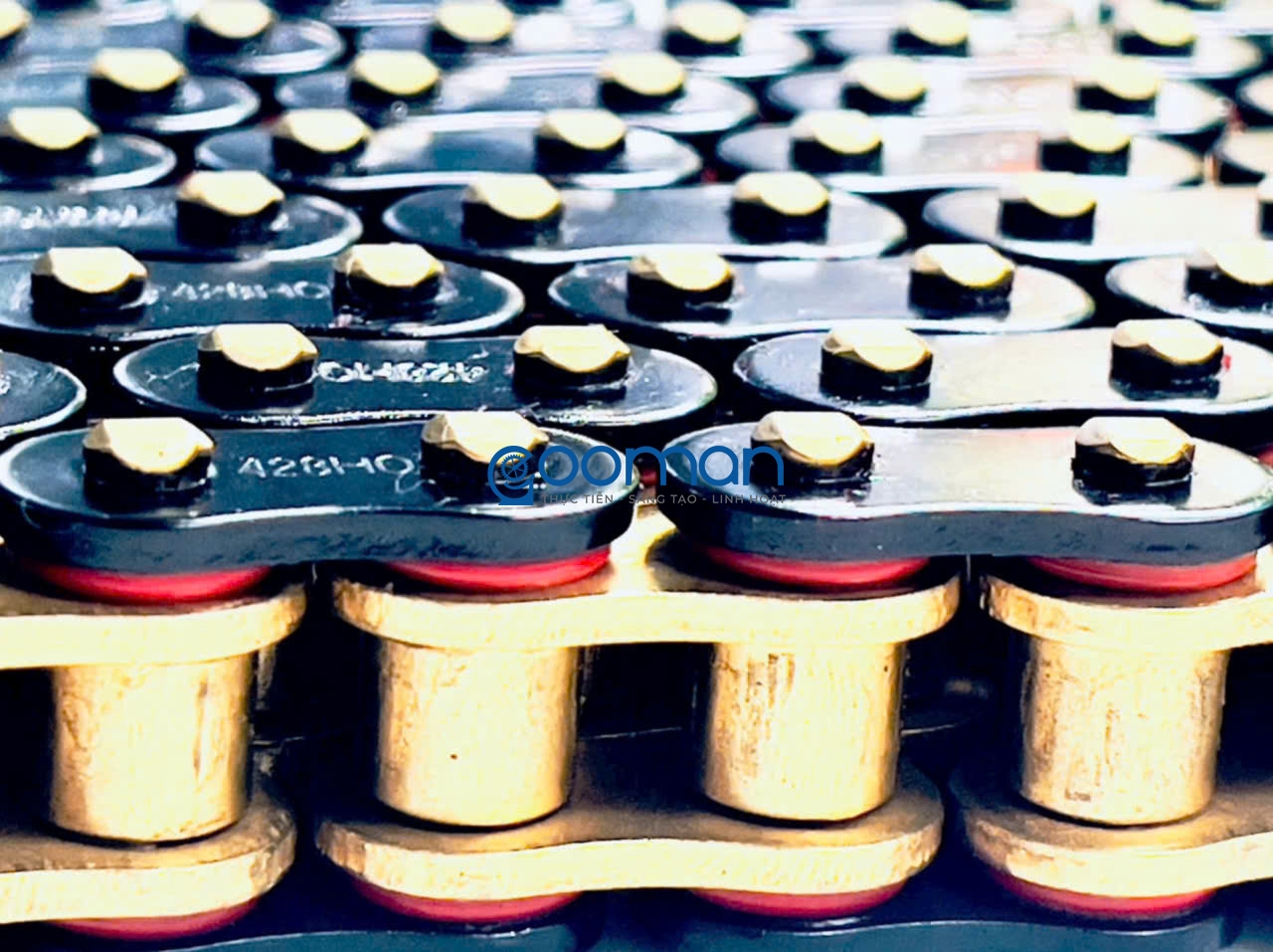 Nhông Sên Đĩa Thép Datbike Quantum S0, S1 52T ( Combo 5) #02